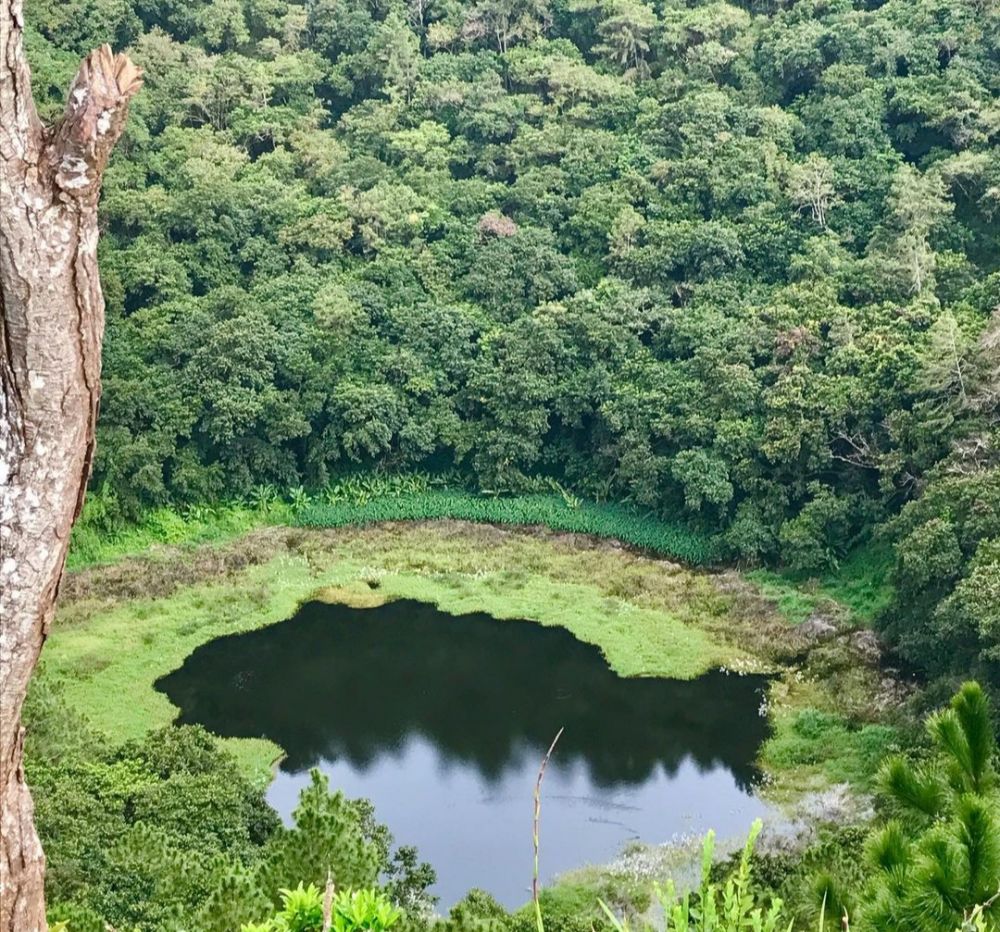 7 Tempat Wisata Populer di Mauritania, Banyak Spot Foto yang Kece 