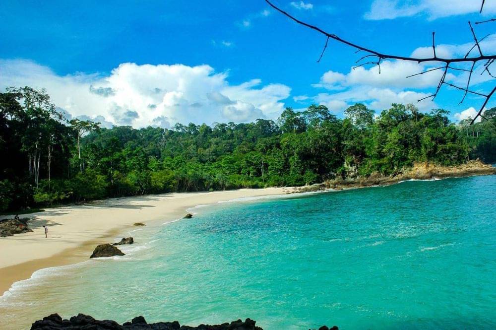 Meru Betiri: Surga Tersembunyi di Jawa Timur - Nikmati keindahan Taman Nasional Meru Betiri dengan kekayaan flora dan fauna yang luar biasa serta pantai-pantai yang memukau