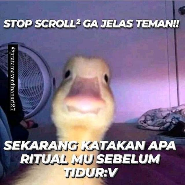 11 Meme Stop Scroll Ini Ungkap Kepribadianmu Sendiri