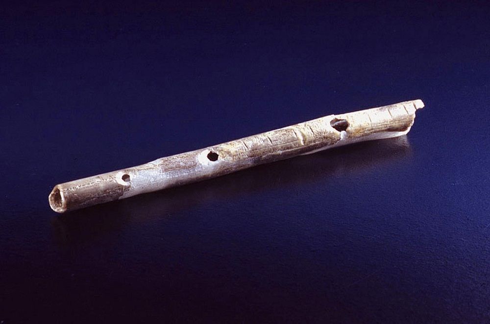 5 Alat Musik Tertua yang Ada di Dunia, Ada yang Berumur 42.000 Tahun!