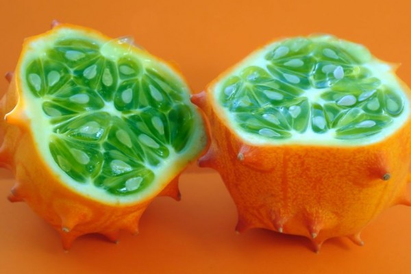5 Khasiat Melon Tanduk