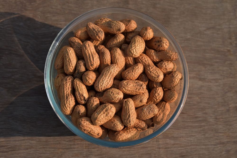 Tinggi Nutrisi, Ini 5 Manfaat Makan Kacang Tanah Rebus bagi Kesehatan