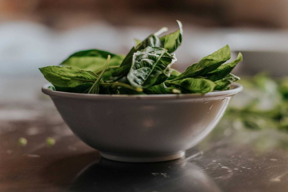 Catat Bun! Ini 5 Makanan dan Minuman yang Bisa Memperlancar ASI