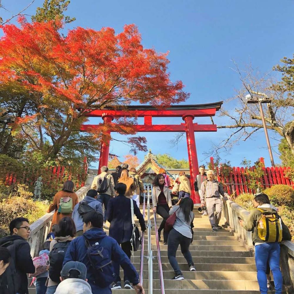 Rekomendasi Tempat Hiking Terbaik Tokyo 