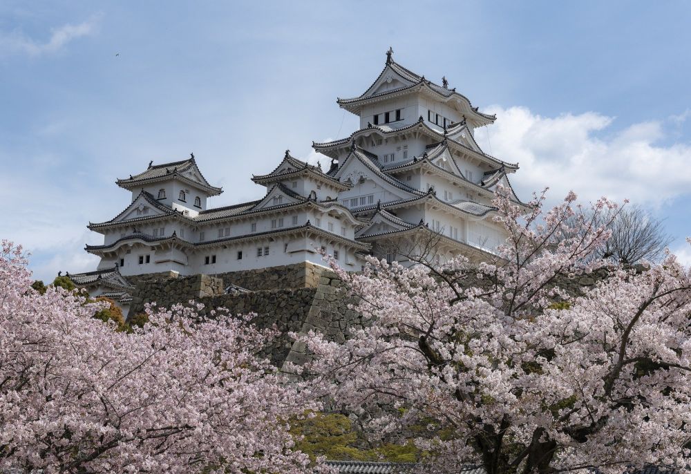 10 Kata Indonesia Berawalan Huruf 'S' yang Diserap dari Bahasa Jepang