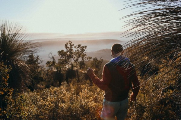 Mengenal Forest Bathing, Metode Penghilang Stres ala Orang Jepang