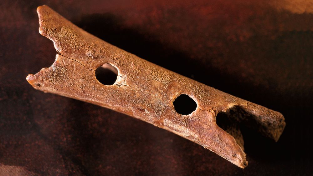 5 Alat Musik Tertua yang Ada di Dunia, Ada yang Berumur 42.000 Tahun!
