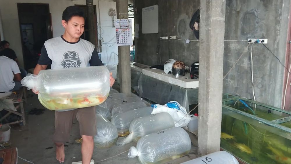 Tabung Diduga Isi Oksigen Palsu di Tulungagung, Polisi Pastikan Asli