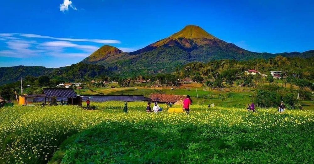 Kampung Organik Brenjonk