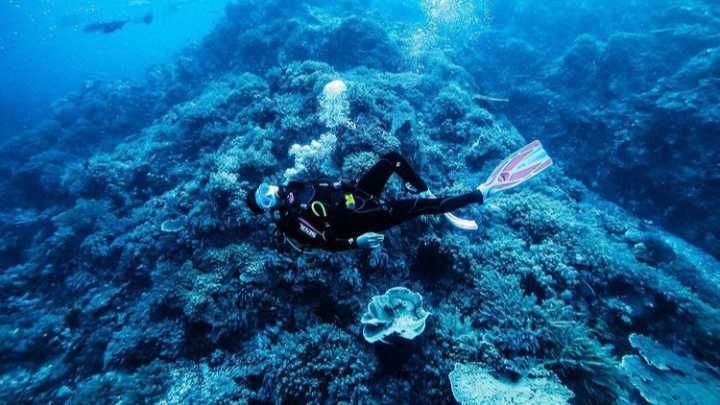 7 Potret Awkarin saat Memperlihatkan Keindahan Bawah Laut