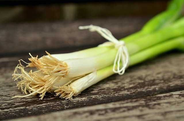 5 Perbedaan Daun Bawang Dan Daun Kucai Yang Sekilas Sama