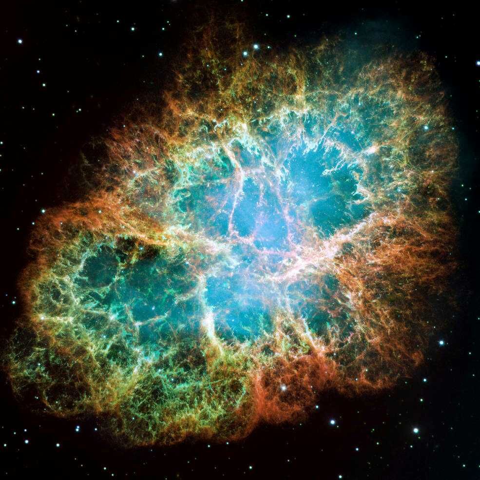 10 Nebula Ini Memiliki Bentuk seperti Hewan, Ada yang Mirip Gajah