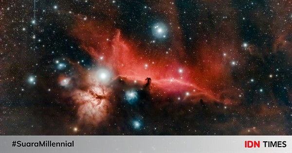 This Nebula Has Animal Shapes, Some Are Similar to Elephants