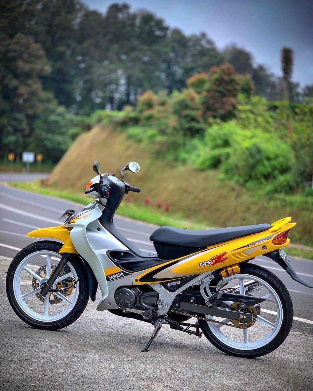 suzuki fiz r