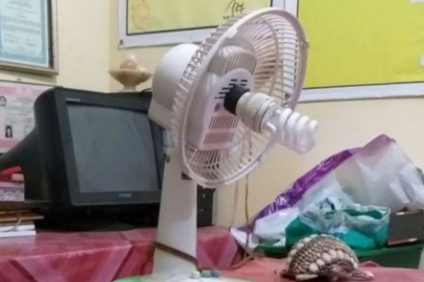 9 Fungsi Absurd Kipas Angin Bekas ala Warganet, Ada yang Buat Velg!