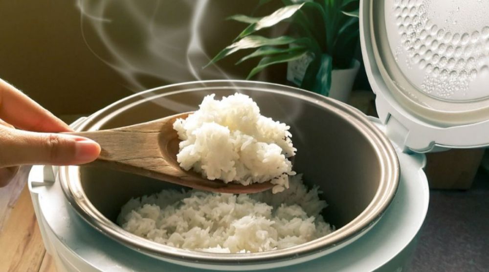 5 Penyebab Nasi Cepat Kering di Rice Cooker dan Cara Mengatasinya