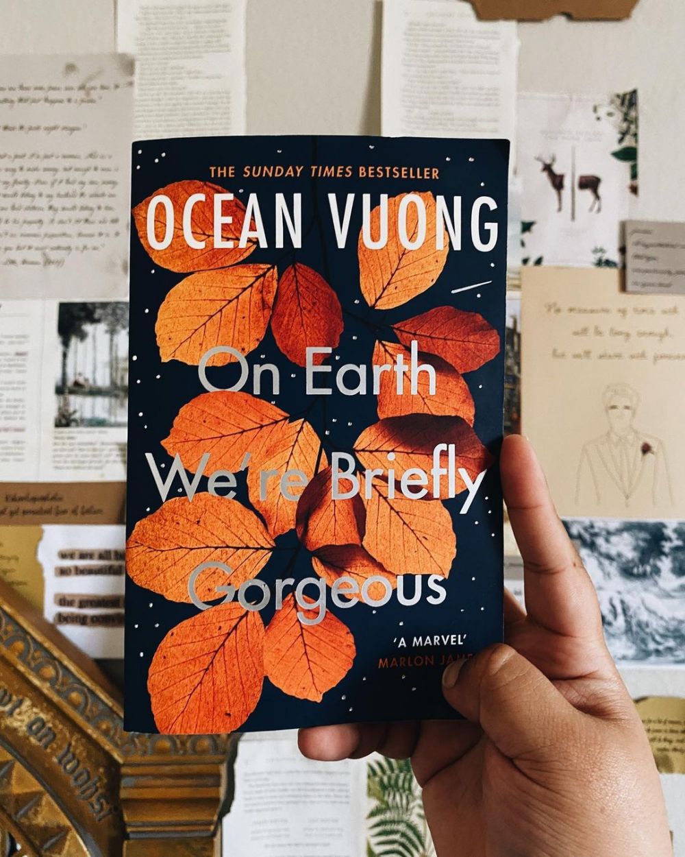 8 Novel Terbaik Karya Penulis Asia Tenggara yang Wajib Dibaca