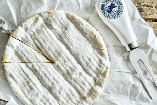 5 Trivia Keju Vegan, Keju Alternatif dari Tumbuhan yang Dairy Free!