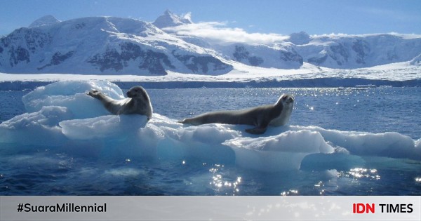 5 Fakta Menarik Samudra Antarktika Baru Masuk Di Peta Dunia