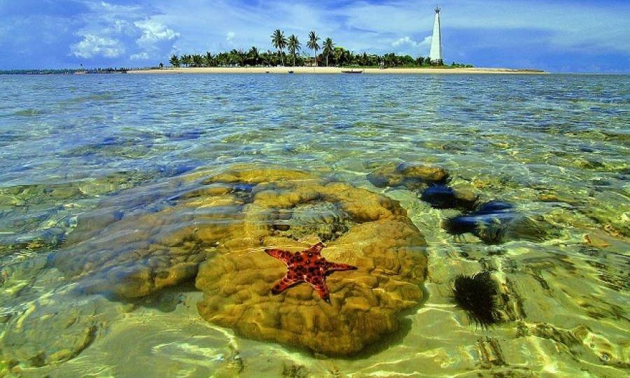 Berkunjung ke Pulau Beras Basah yang Indah di Kota Bontang