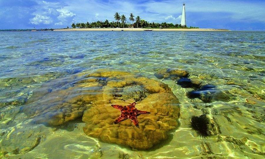 Menelusuri Keindahan Pulau Beras Basah di Bontang