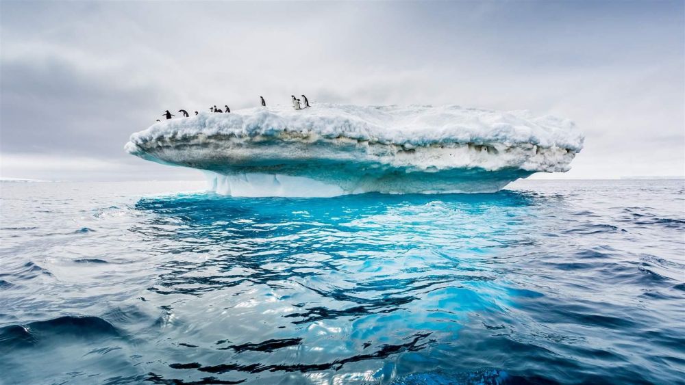 5 Fakta Menarik Samudra Antarktika, Samudra Baru di Peta Dunia