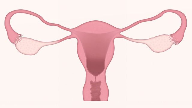 Siklus Menstruasi hingga Berat Badan Pengaruhi Tingkat Kesuburan?