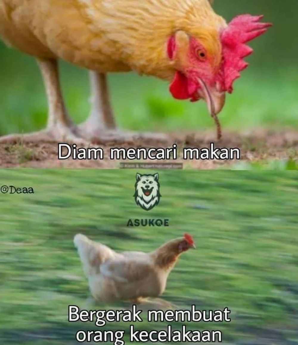 10 Meme Kocak Diam Diam Bergerak Ini Selalu Bikin Kaget