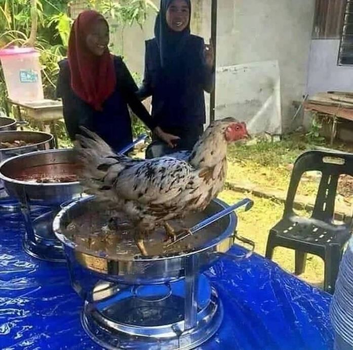 10 Momen Apes Lagi Makan Makanan Berkuah, Nyesek Pol 