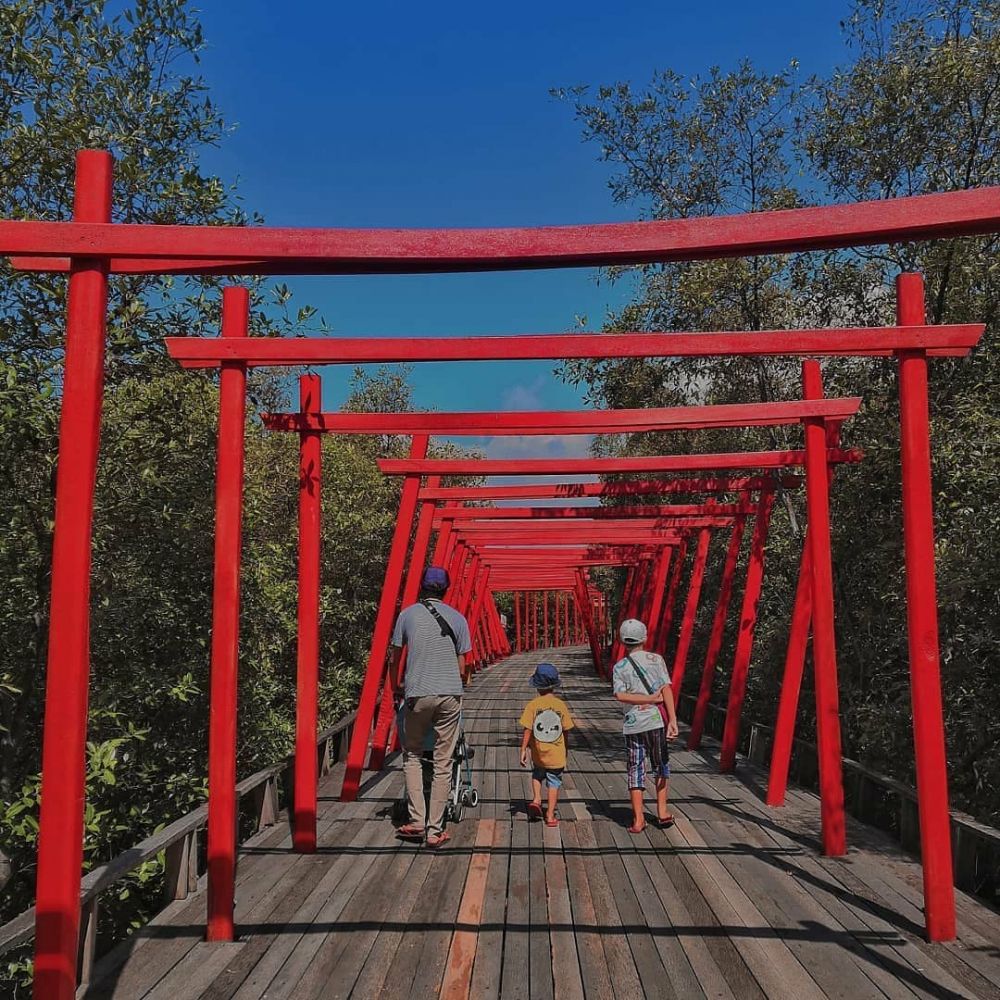 10 Pesona Wisata Hutan Mangrove BJBR di Probolinggo, Bikin Terpukau!