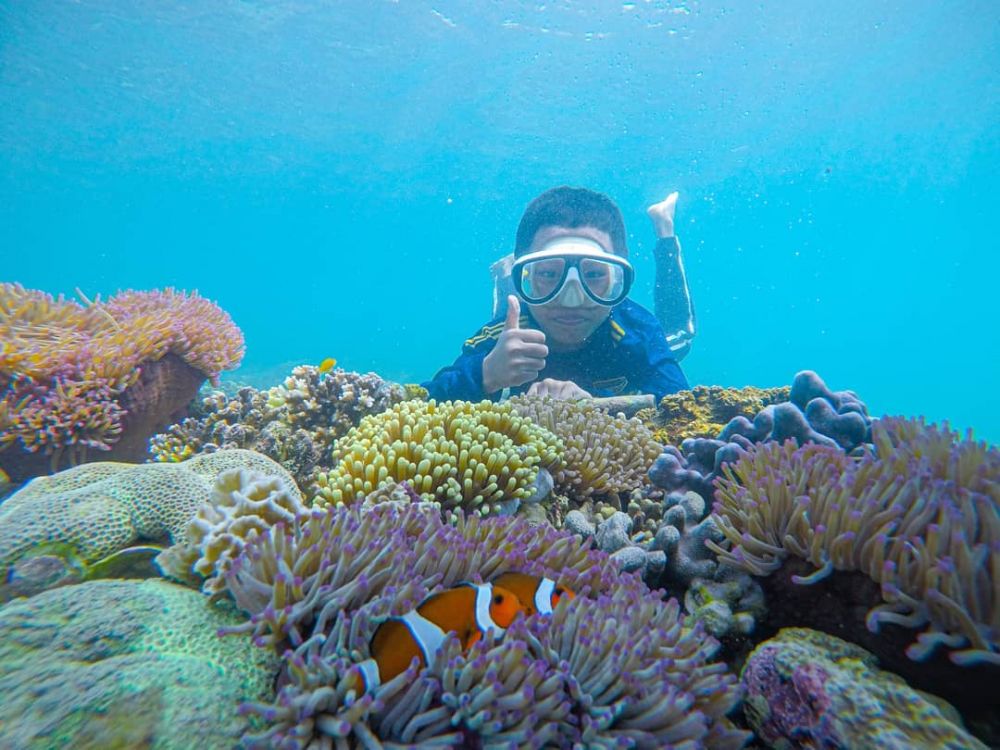 5 Tempat Wisata Ikonik di Probolinggo, Ada Museum Rasulullah!