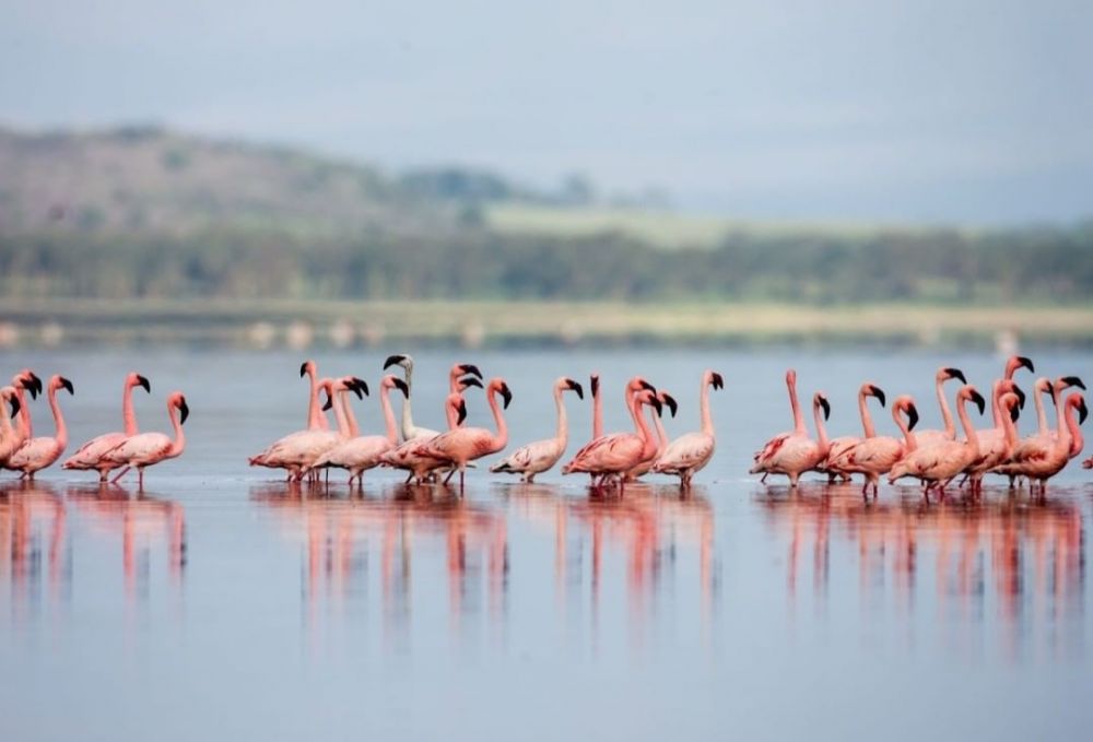 5 Wisata Alam yang Populer di Tanzania, Rugi jika Gak ke Sini! 