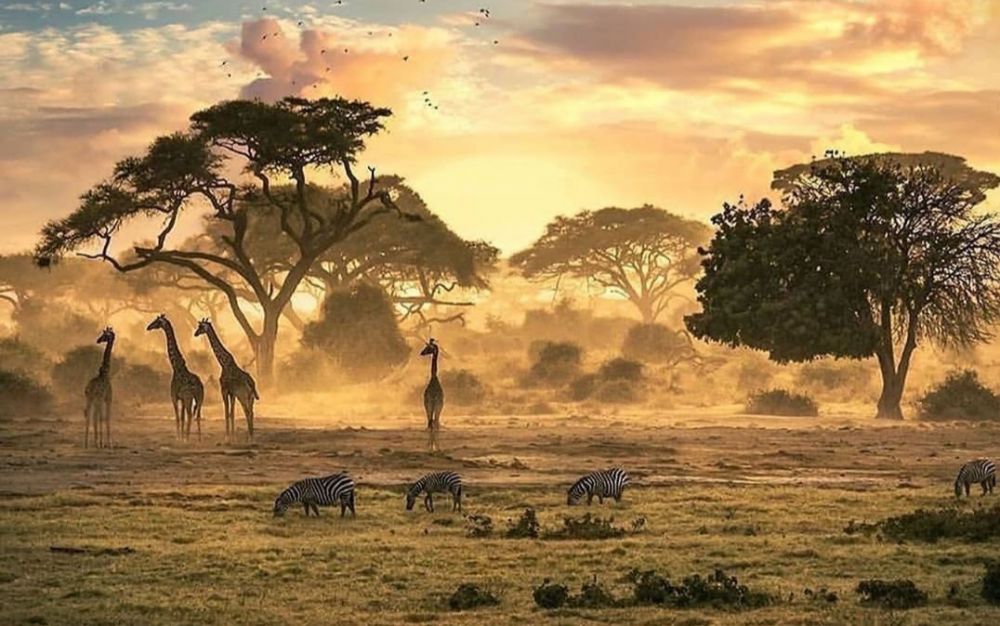 5 Wisata Alam yang Populer di Tanzania, Rugi jika Gak ke Sini! 