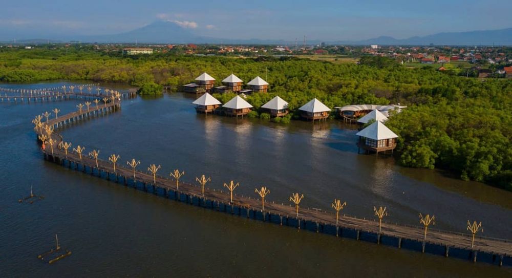 10 Pesona Wisata Hutan Mangrove BJBR di Probolinggo, Bikin Terpukau!