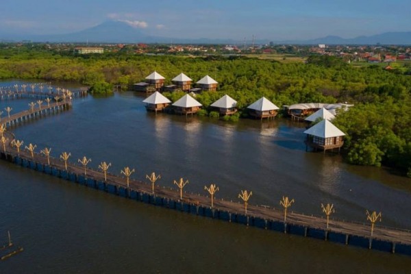 10 Pesona Wisata Hutan Mangrove BJBR di Probolinggo, Bikin Terpukau!