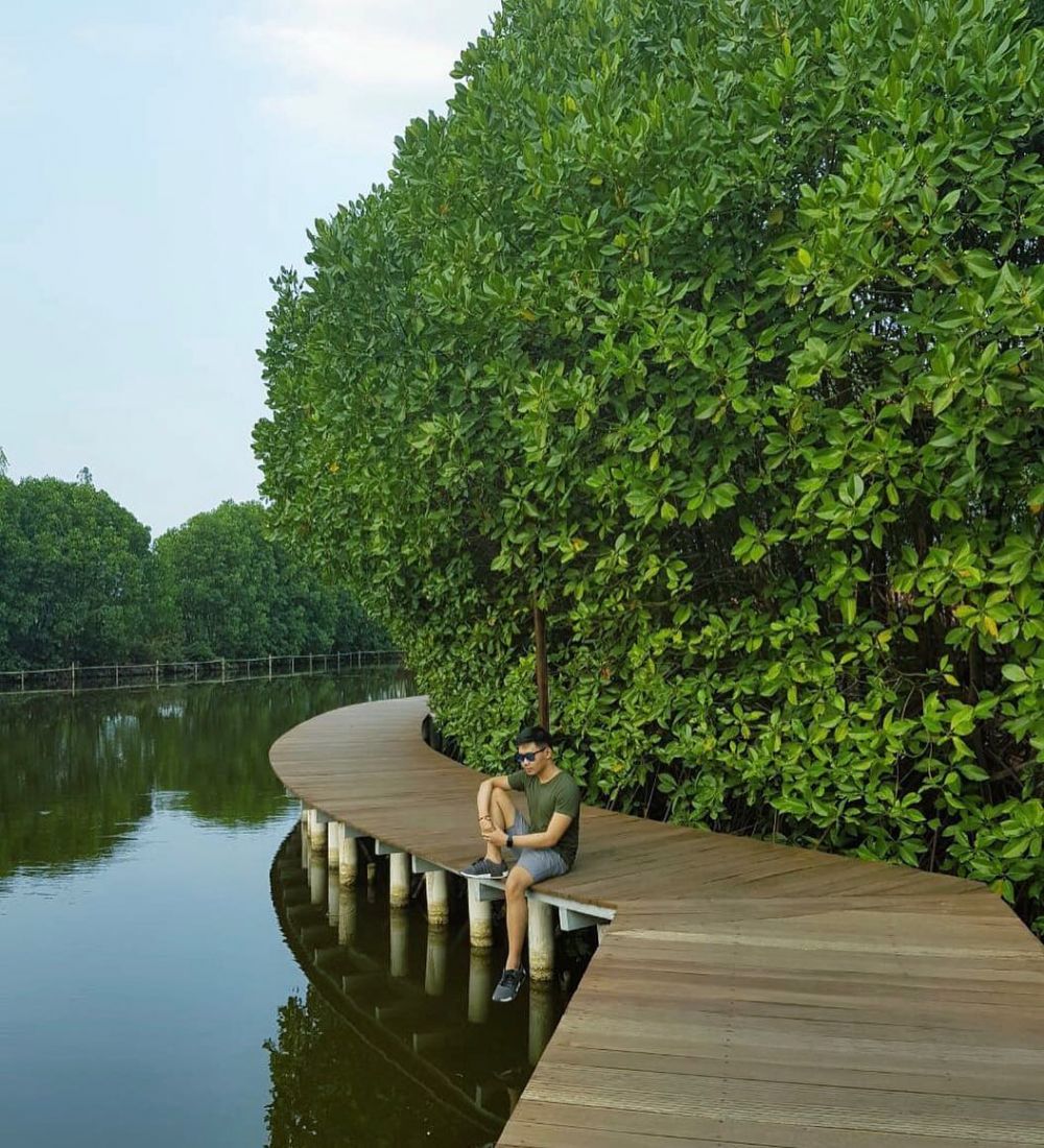 5 Wisata Hutan Mangrove di Indonesia yang Seru untuk Dijelajahi