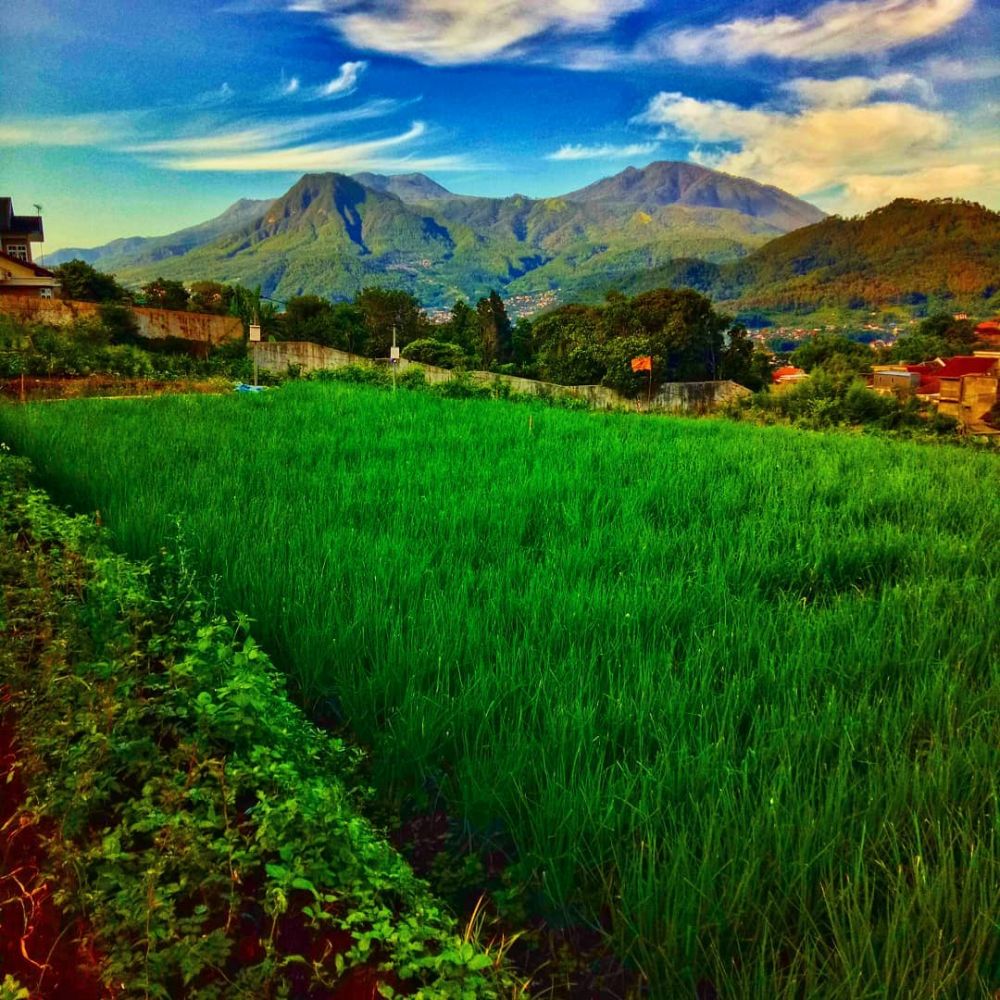 5 Kampung Wisata di Jawa Timur ini Cocok buat Liburan Bareng Keluarga