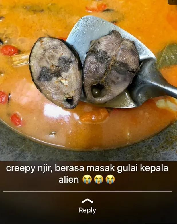 10 Momen Apes Lagi Makan Makanan Berkuah, Nyesek Pol 