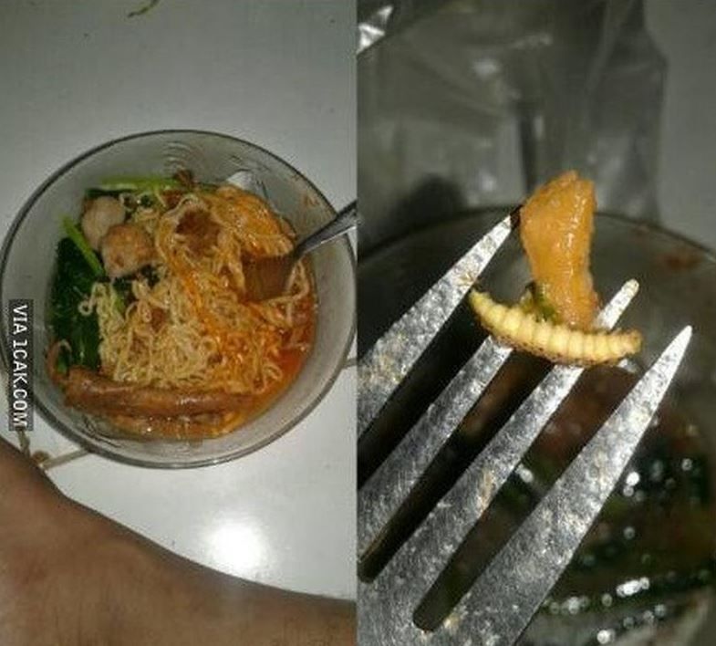 10 Momen Apes Lagi Makan Makanan Berkuah, Nyesek Pol 