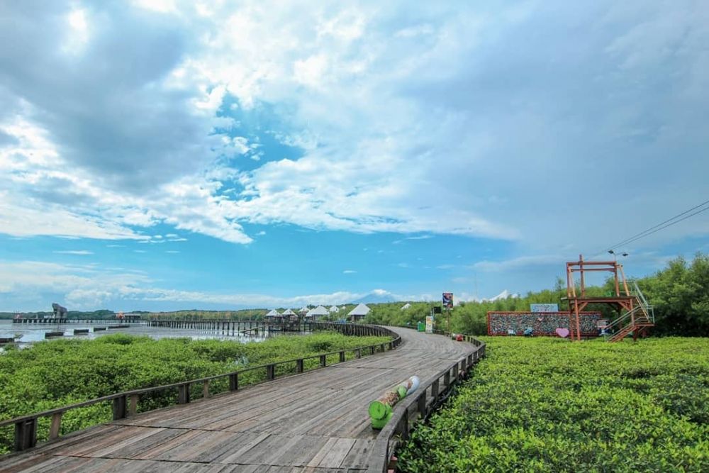 10 Pesona Wisata Hutan Mangrove BJBR di Probolinggo, Bikin Terpukau!