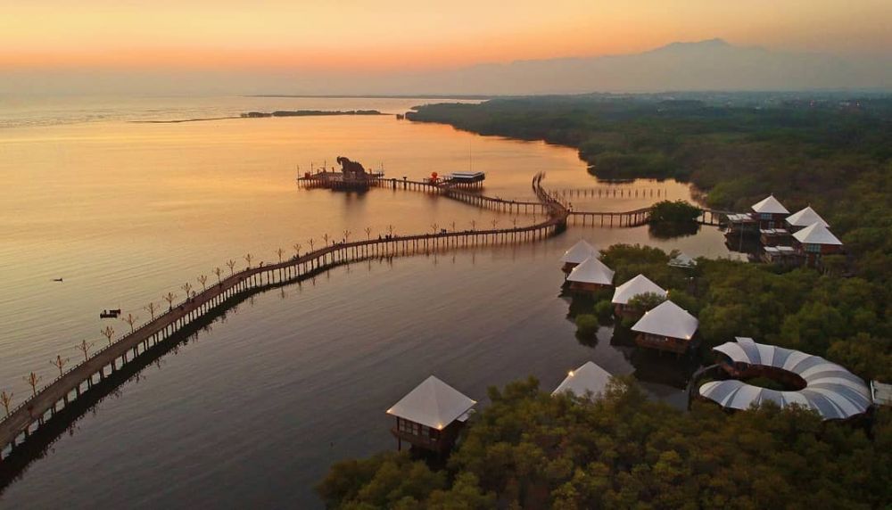 10 Pesona Wisata Hutan Mangrove BJBR di Probolinggo, Bikin Terpukau!