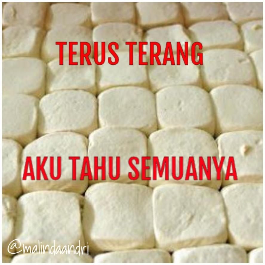 10 Meme Tahu Ini Bikin Mikir Keras Lapar Atau Paham