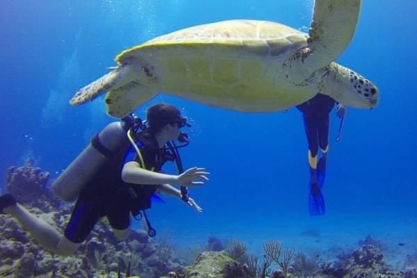 7 Fakta Menarik Tentang Olahraga Scuba Diving