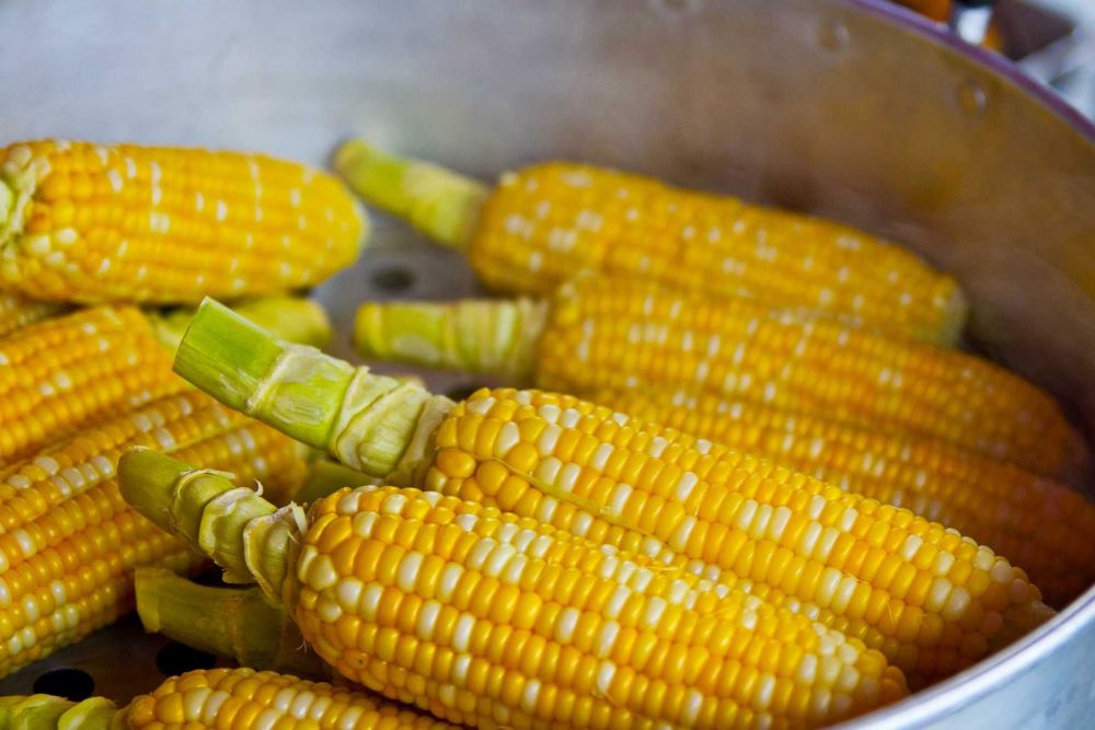 Resep Kue Talam Jagung Hunkwe, Teman Santai yang Manis