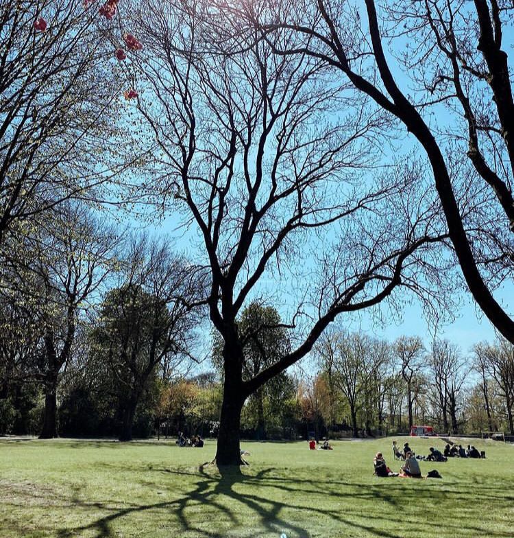 9 Taman Indah di Utrecht, Belanda yang Penuh dengan Tanaman Cantik