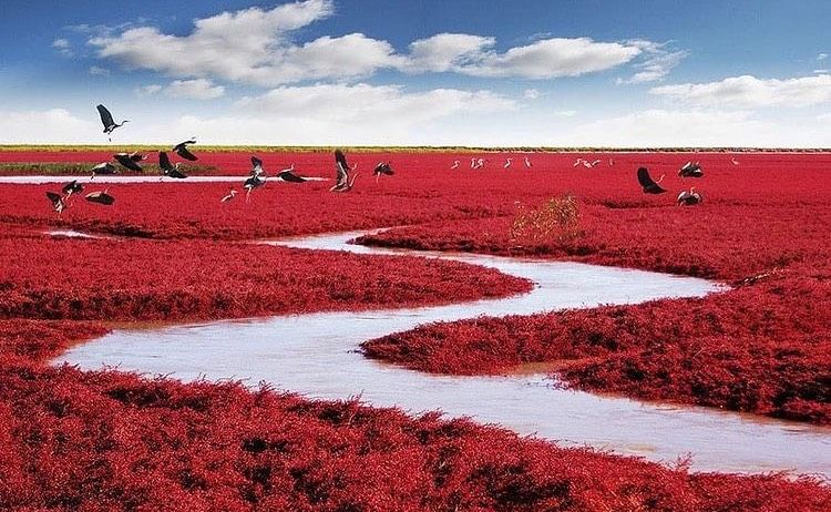 Inilah Pantai  Merah  di Kawasan Cagar Alam Provinsi 