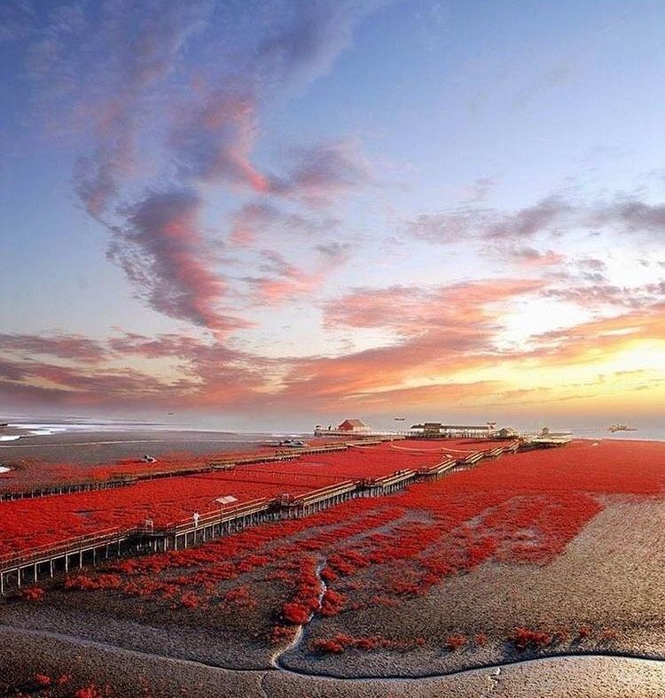 Inilah Pantai  Merah  di Kawasan Cagar Alam Provinsi 