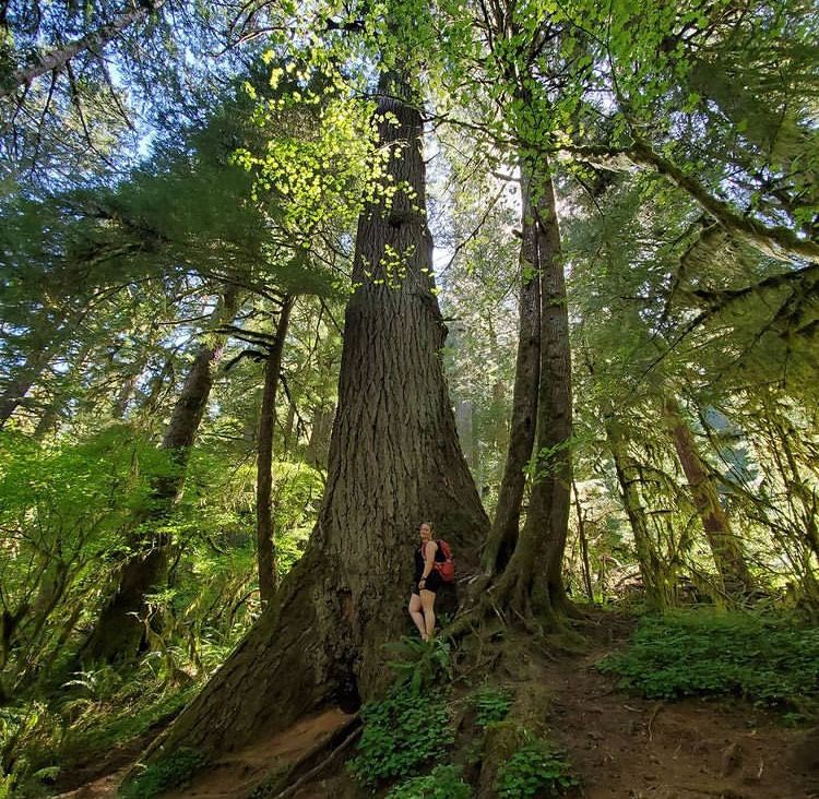 9 Destinasi Wisata Alam di Oregon yang Tersembunyi, Penuh Pesona!