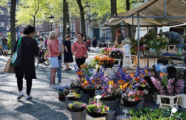 9 Taman Indah di Utrecht, Belanda yang Penuh dengan Tanaman Cantik