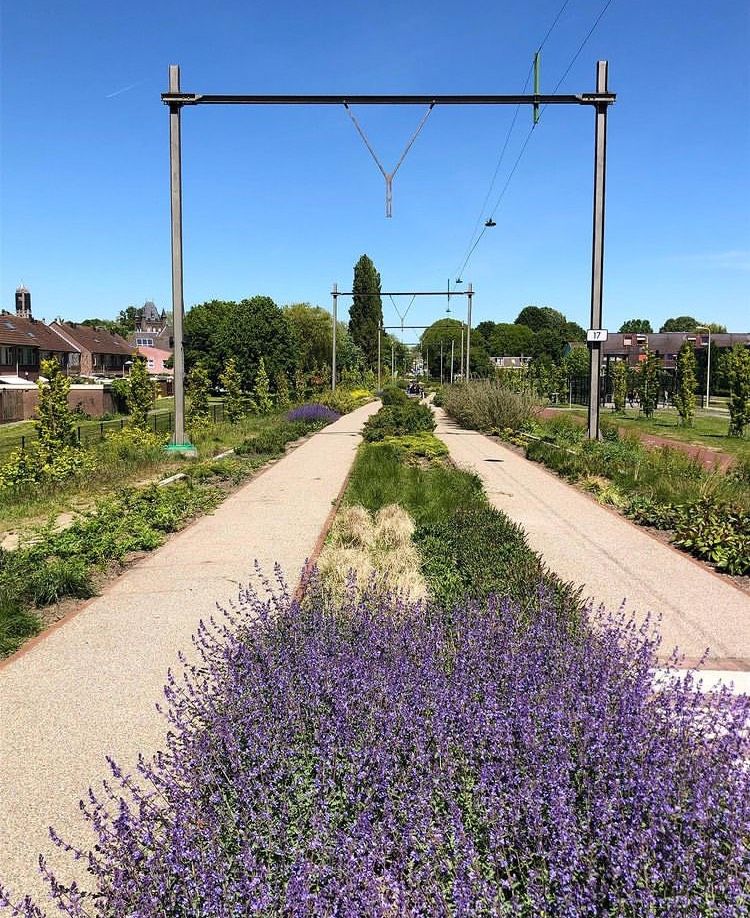 9 Taman Indah di Utrecht, Belanda yang Penuh dengan Tanaman Cantik